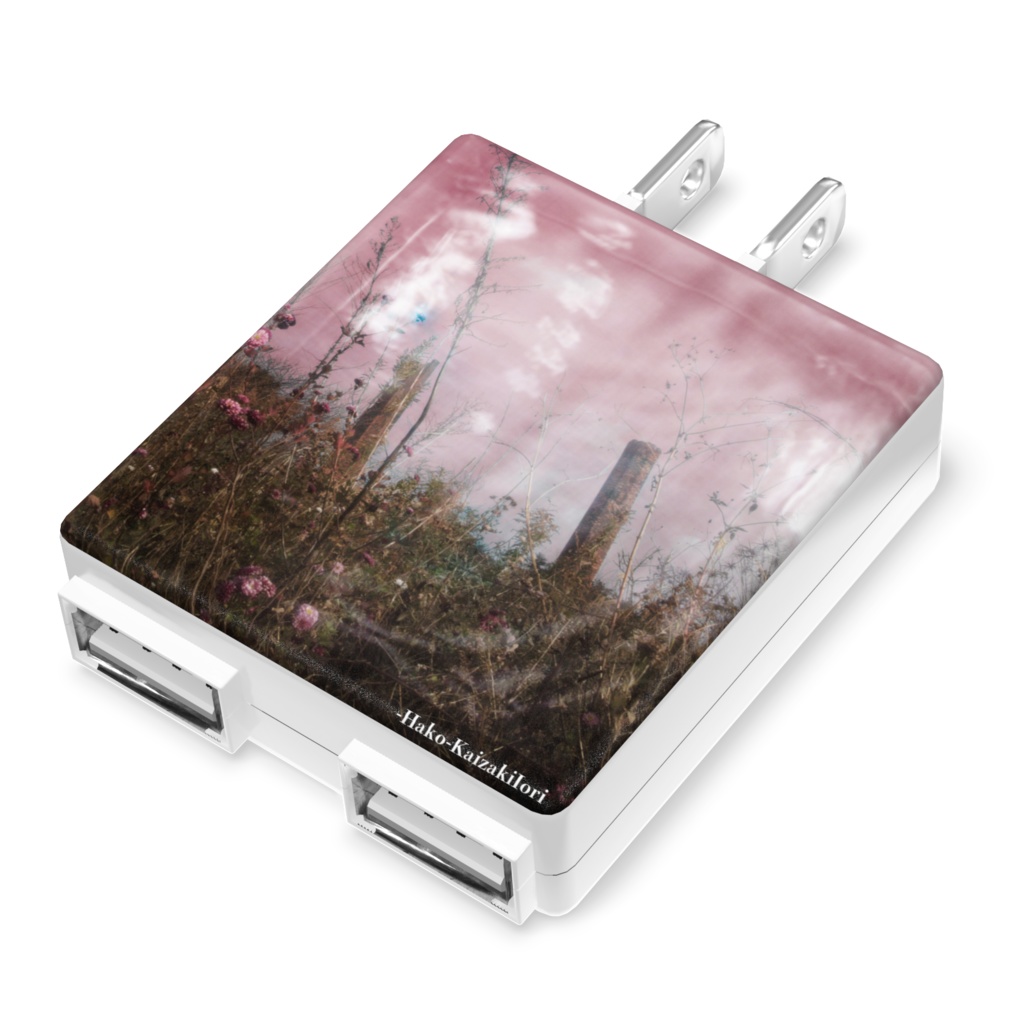 拾った匣を覗いたら （あだぷた）