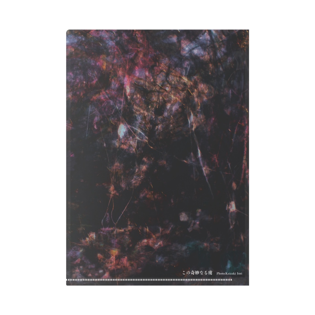 この奇妙なる虜(カバー画像ver.)