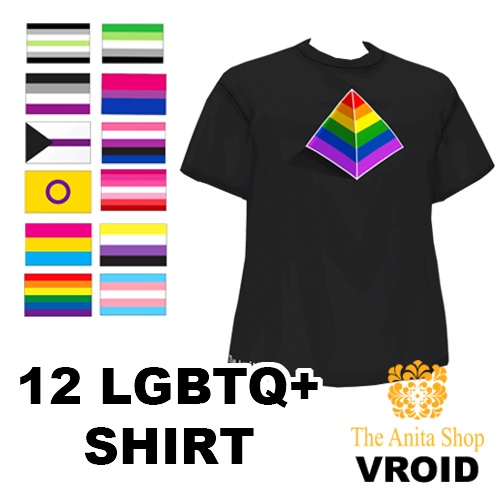 12 LGBTQ+ Shirt | VROID