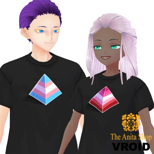 12 LGBTQ+ Shirt | VROID