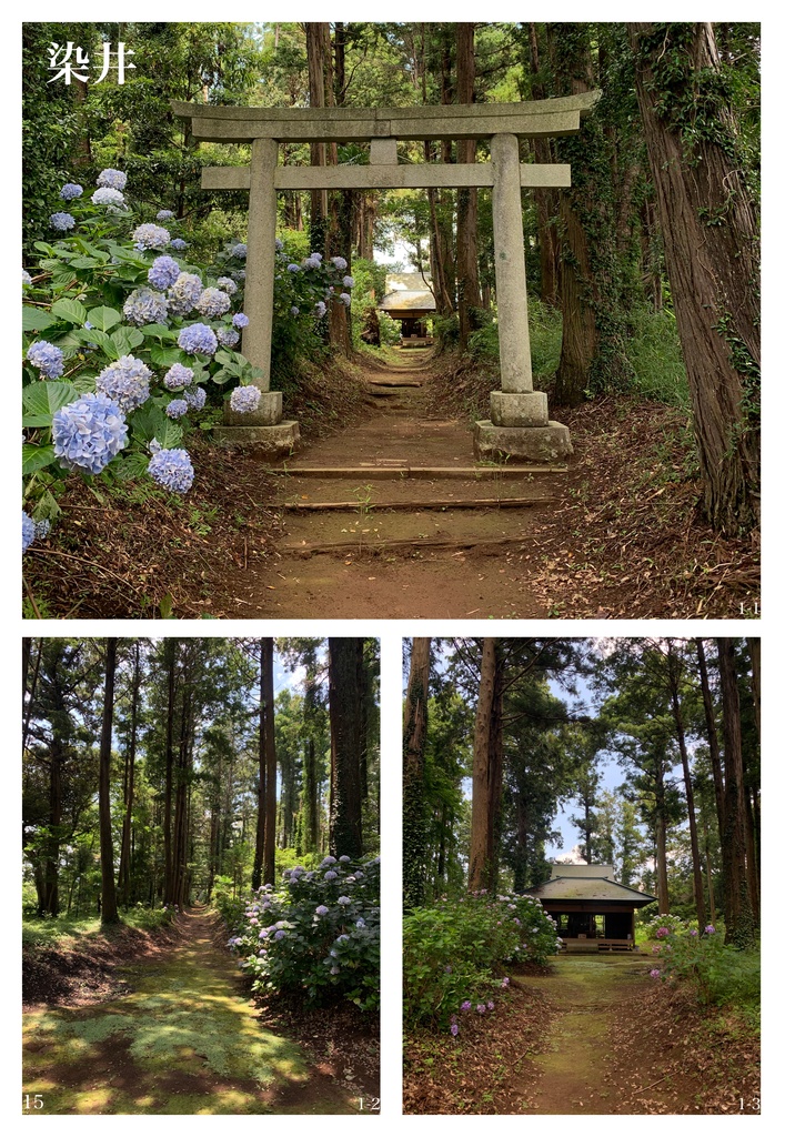 自治体シリーズ 多古町