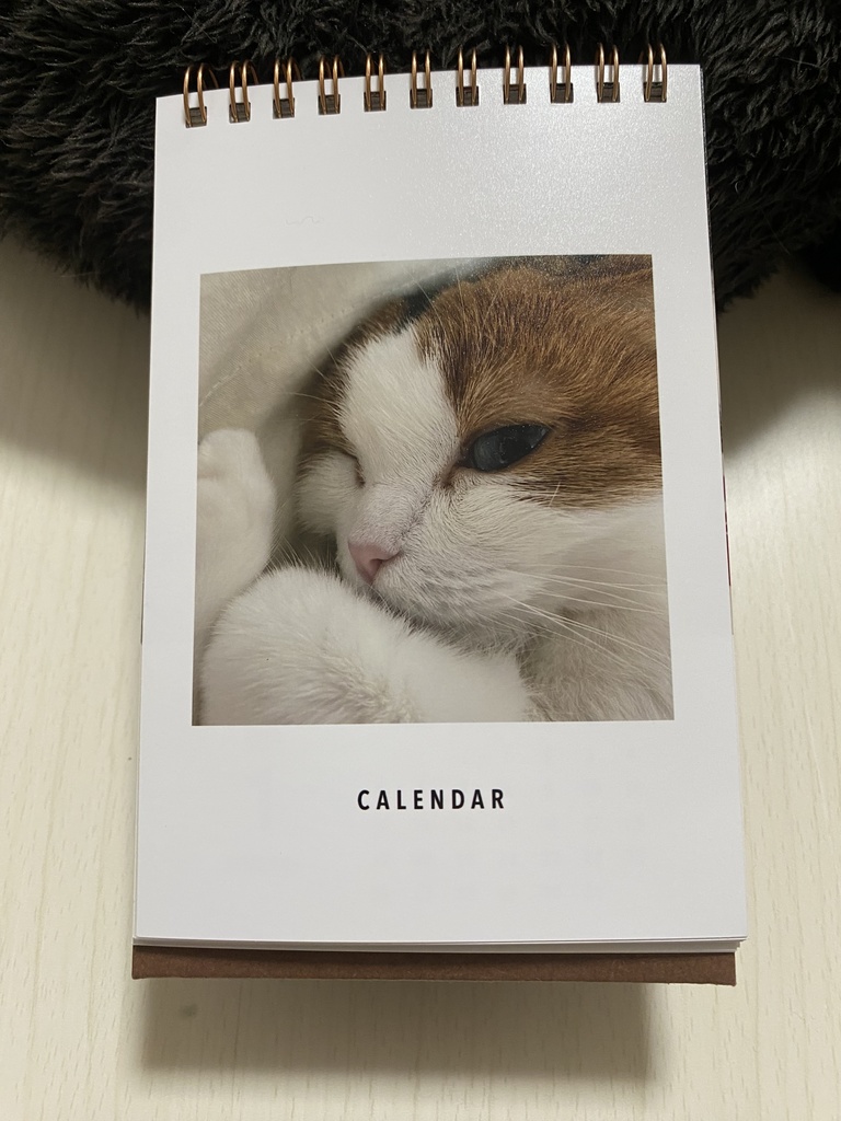 きなこ卓上カレンダー