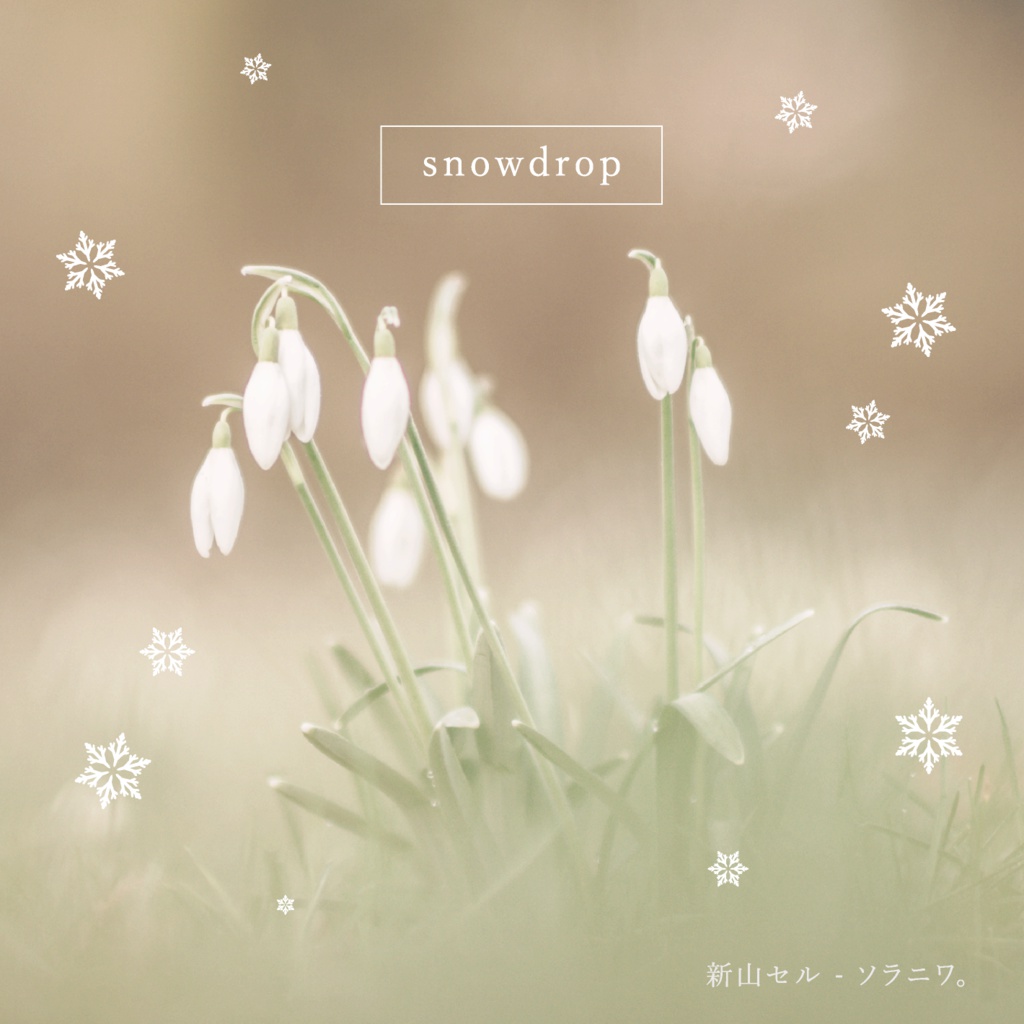 snowdrop