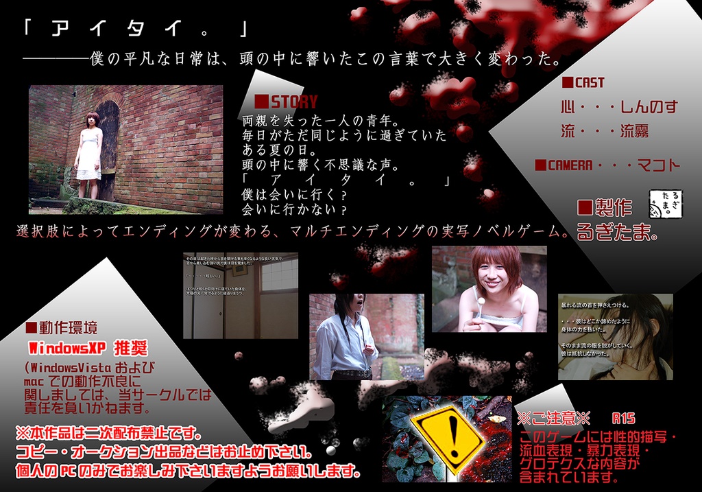 PCノベルゲーム「空からの手紙」【モデル:しんのす+流霧】