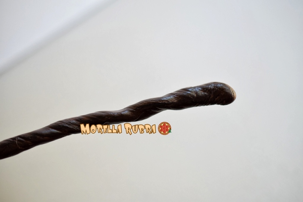 magicstaff(Lサイズ・黒壇の杖)