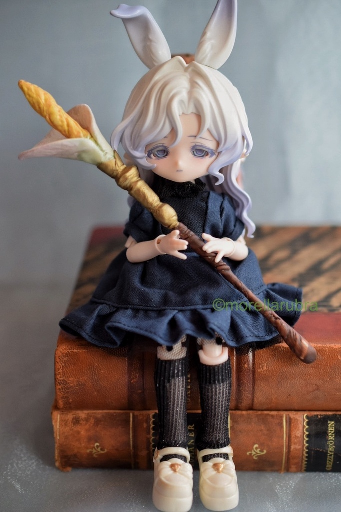 カラーの杖(15cm)