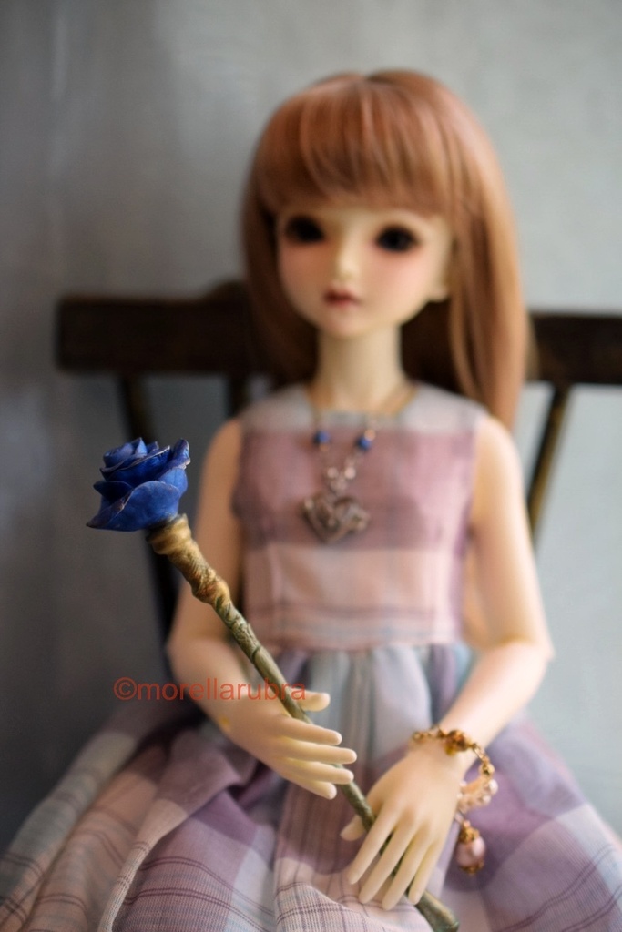 薔薇の杖(ロイヤルブルー)◇13.5cm