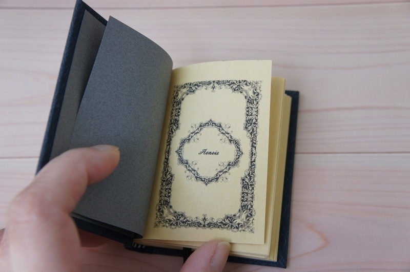 SD&DD、13、17少年用◆洋書風豆本◆Aeneis