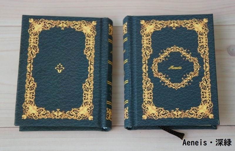 SD&DD、13、17少年用◆洋書風豆本◆Aeneis