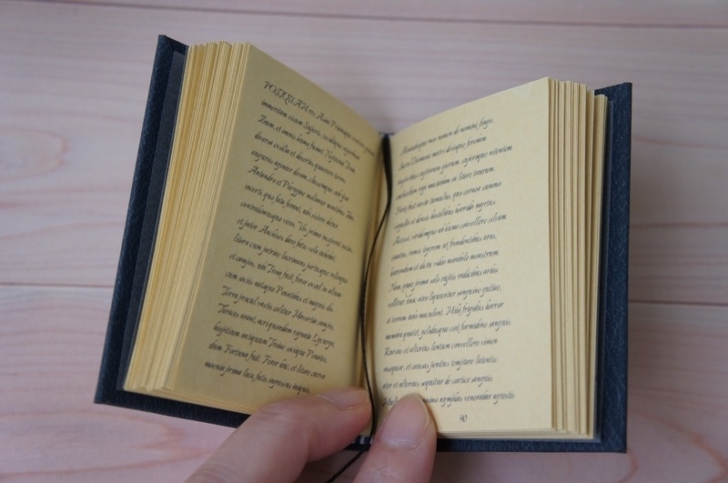 SD&DD、13、17少年用◆洋書風豆本◆Aeneis