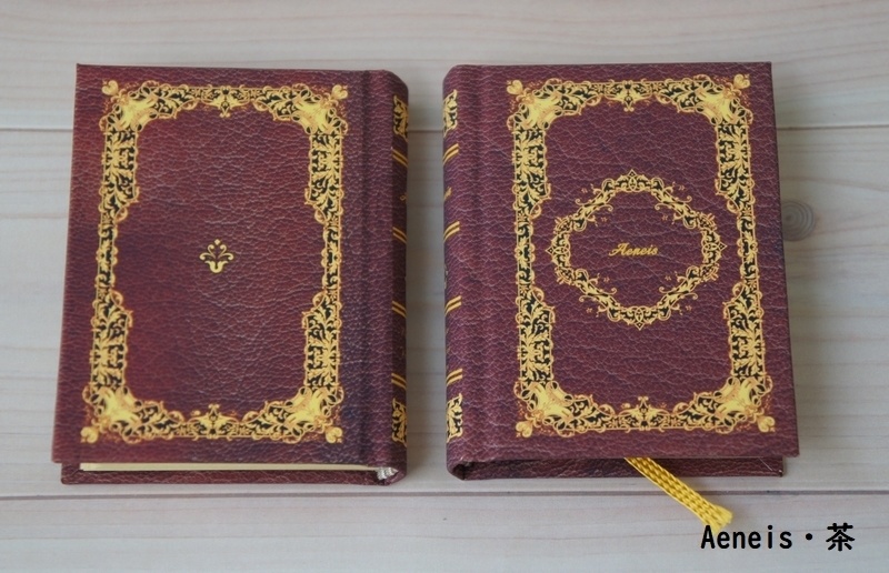 SD&DD、13、17少年用◆洋書風豆本◆Aeneis