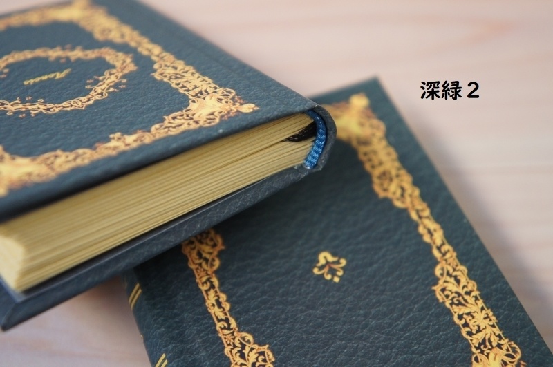 SD&DD、13、17少年用◆洋書風豆本◆Aeneis