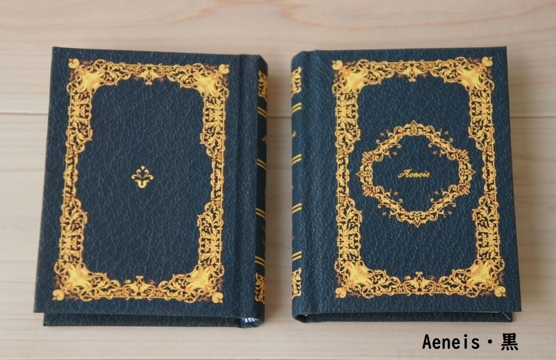 SD&DD、13、17少年用◆洋書風豆本◆Aeneis