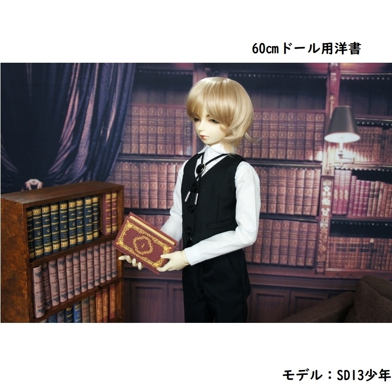 SD&DD、13、17少年用◆洋書風豆本◆Aeneis