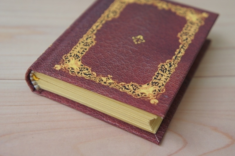 SD&DD、13、17少年用◆洋書風豆本◆Aeneis