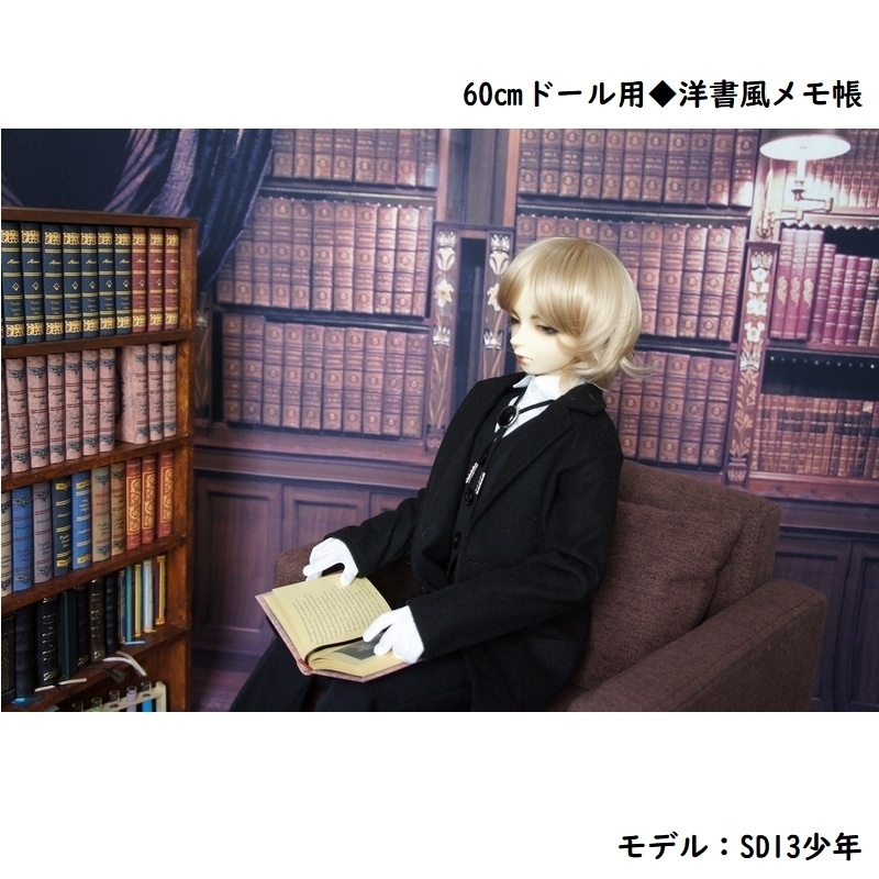 SD&DD、13少年、17少年用◆洋書風豆本◆Carmina