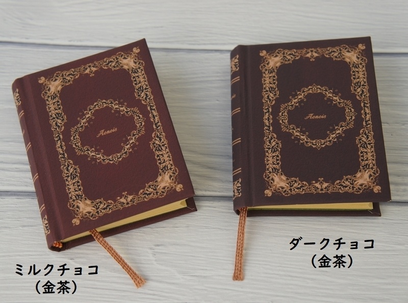 SD&DD、13、17少年用◆洋書風豆本◆Aeneis・Old Book