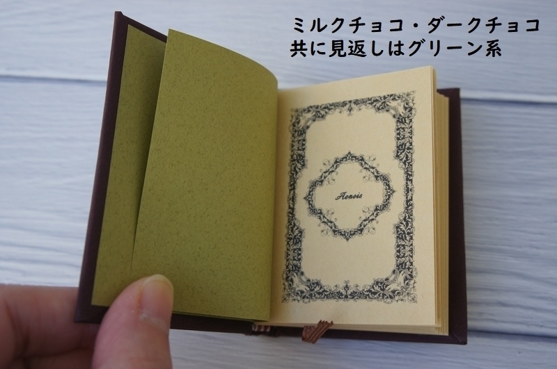 SD&DD、13、17少年用◆洋書風豆本◆Aeneis・Old Book