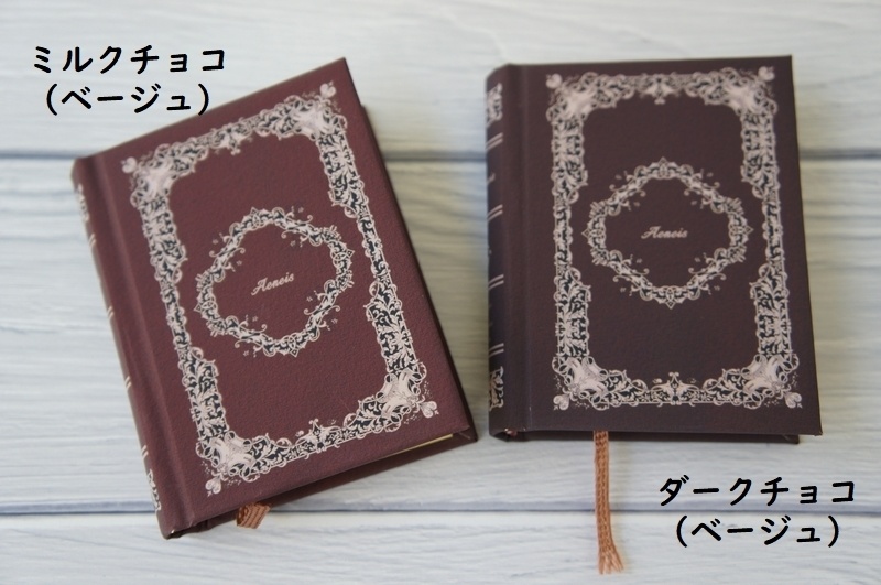 SD&DD、13、17少年用◆洋書風豆本◆Aeneis・Old Book