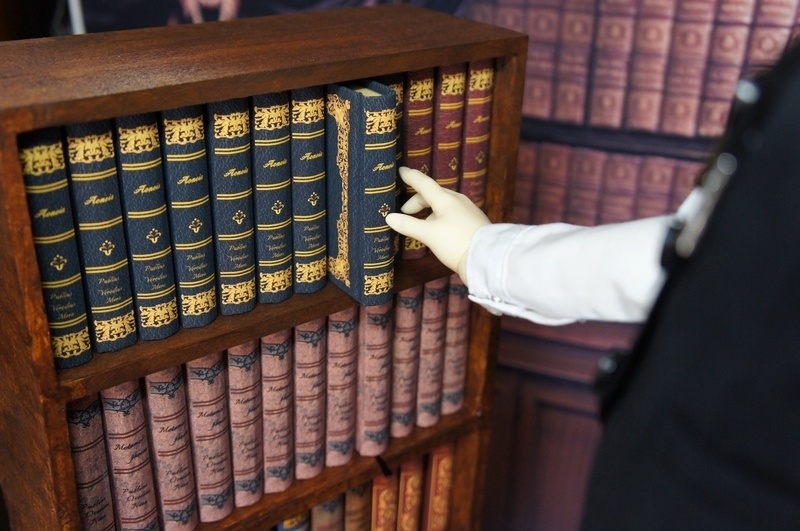 SD&DD、13、17少年用◆洋書風豆本◆Aeneis・Old Book