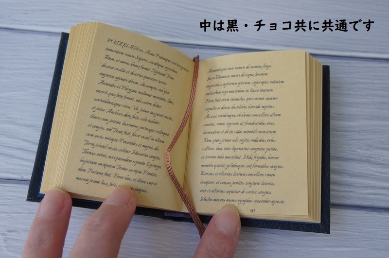 SD&DD、13、17少年用◆洋書風豆本◆Aeneis・Old Book