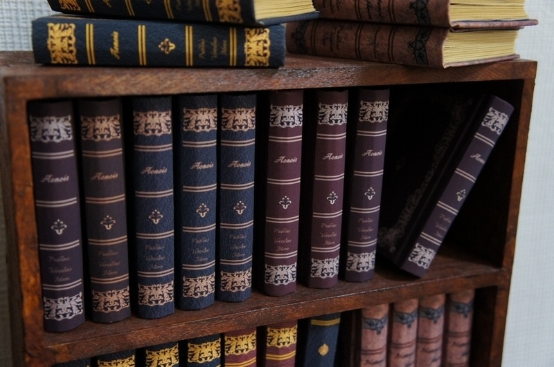 SD&DD、13、17少年用◆洋書風豆本◆Aeneis・Old Book