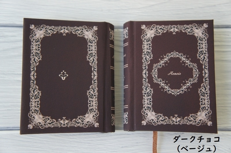 SD&DD、13、17少年用◆洋書風豆本◆Aeneis・Old Book