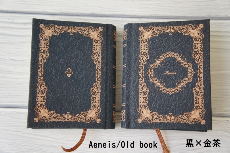 SD&DD、13、17少年用◆洋書風豆本◆Aeneis・Old Book