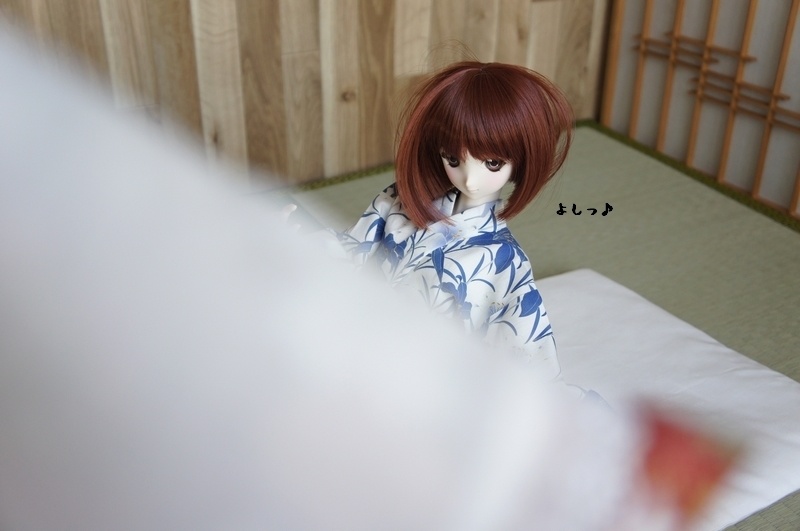 MDD、SD&DD~17少年用◆和柄まくら