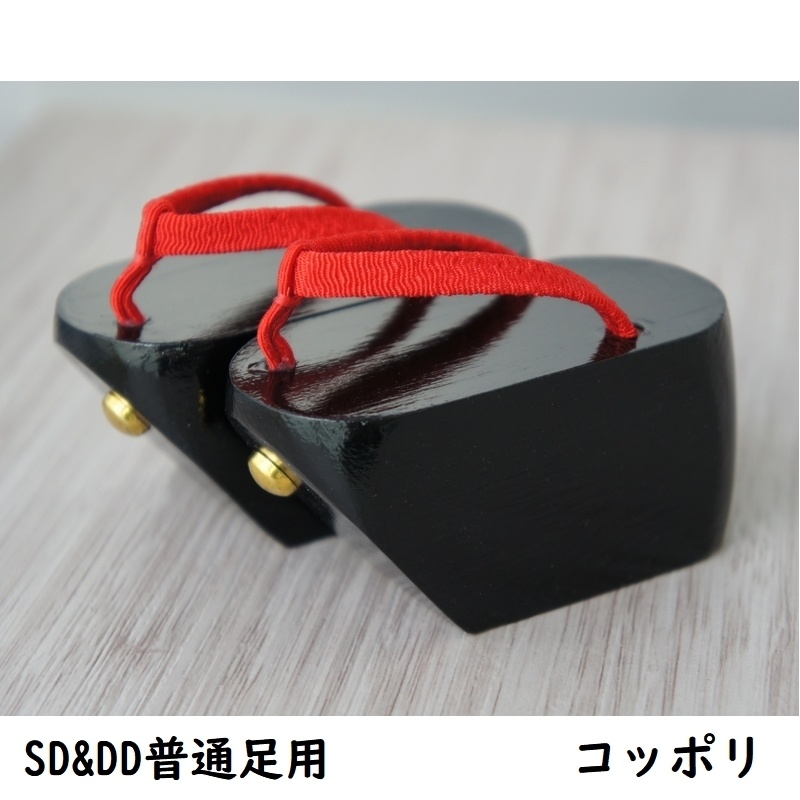 SD&DD普通足用◆コッポリ