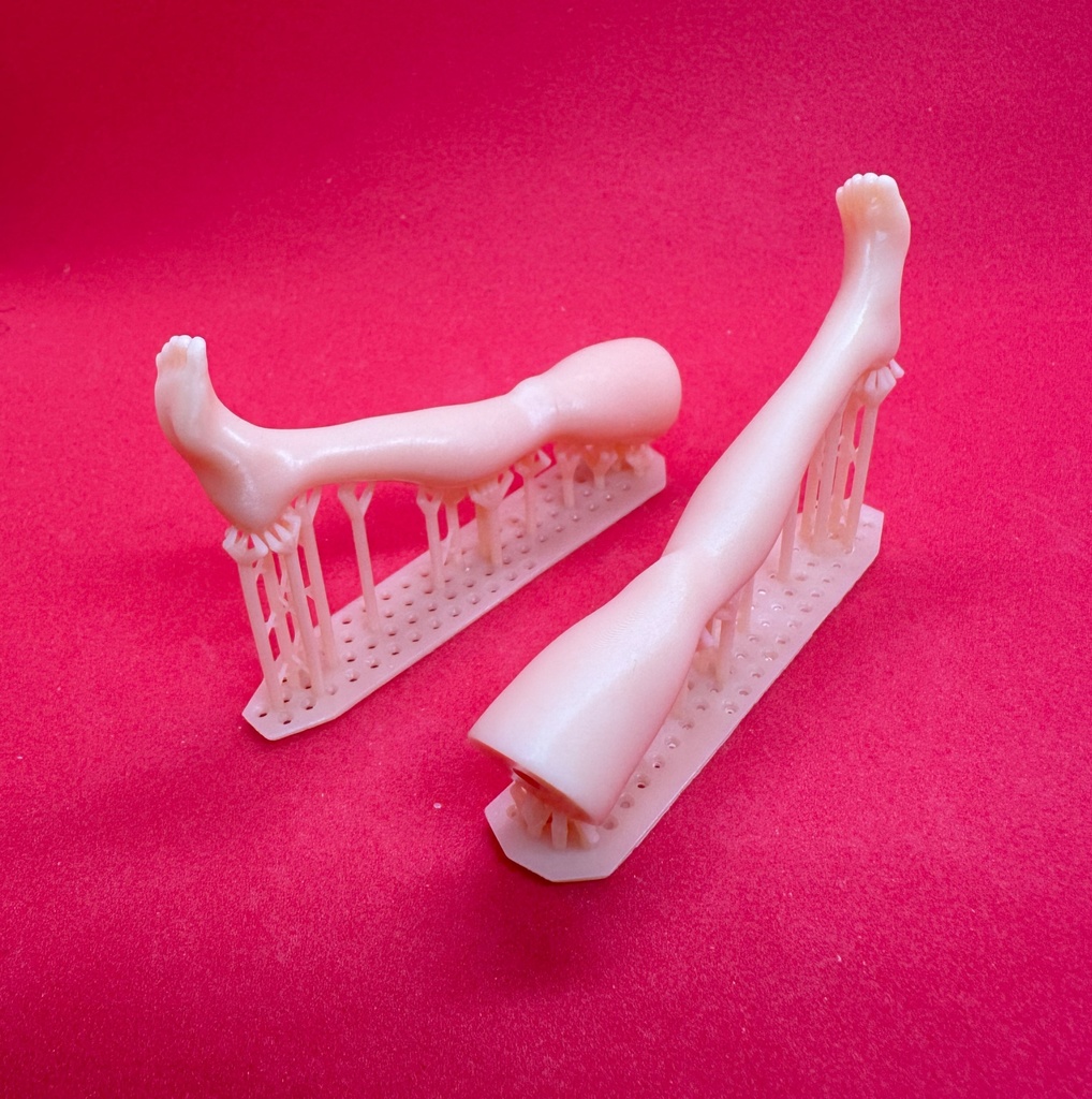 barelegged【extension】