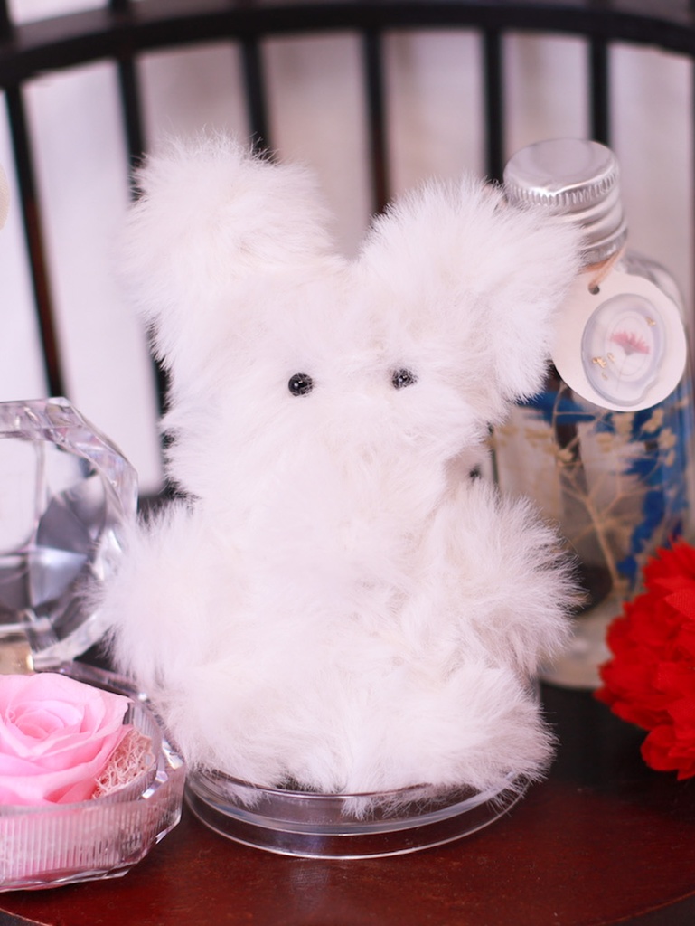 まほぬい つぶらなおめめ