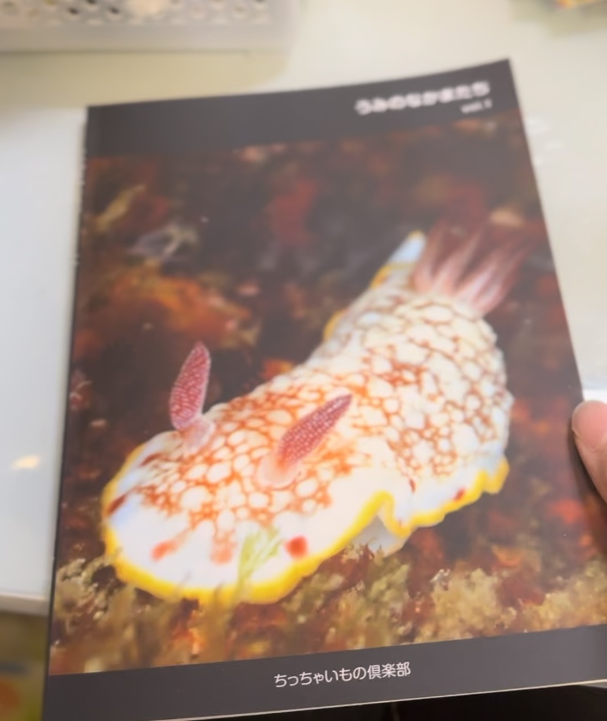ウミウシフルカラー写真集1(36p)