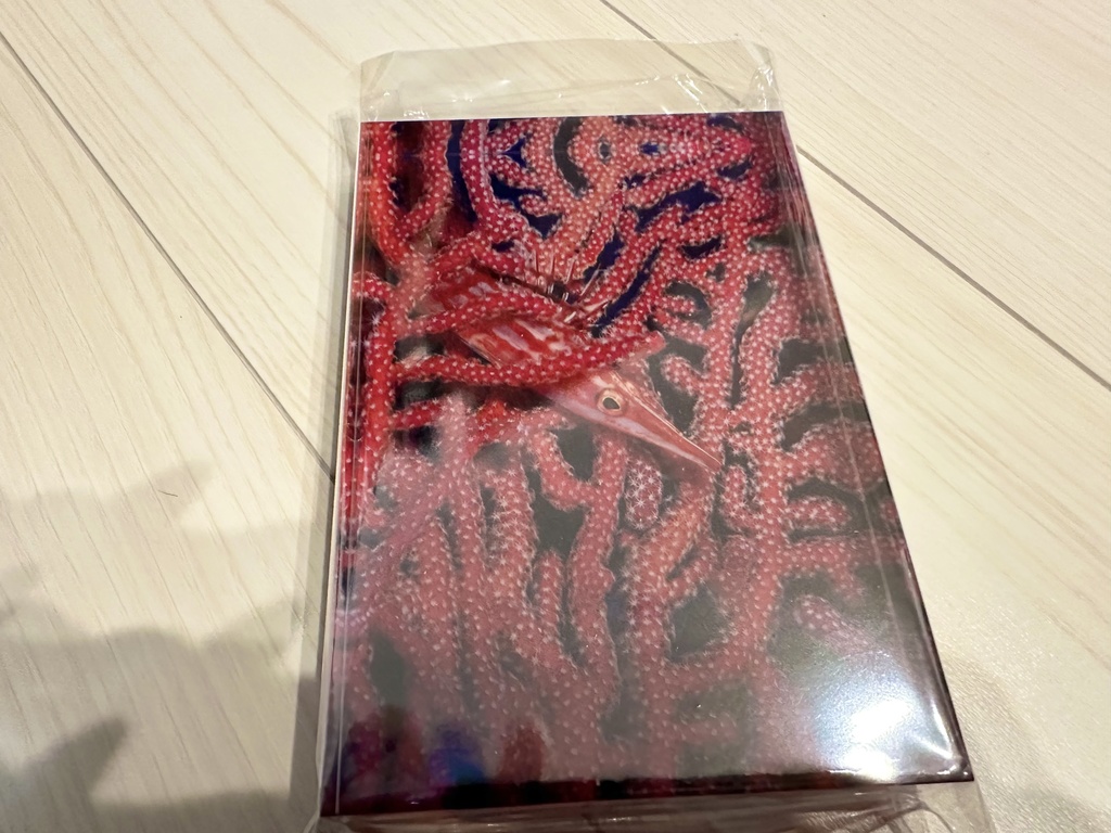 アクリルフォトブロック(クダゴンベ)