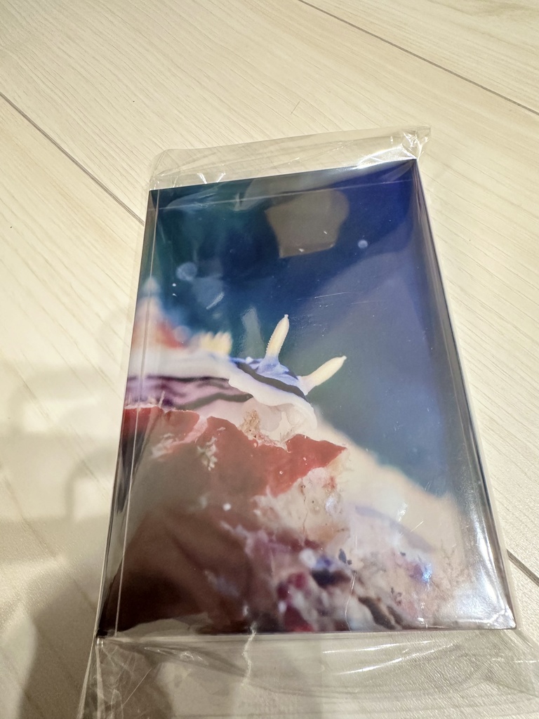 アクリルフォトブロック(ミスジアオイロウミウシ)