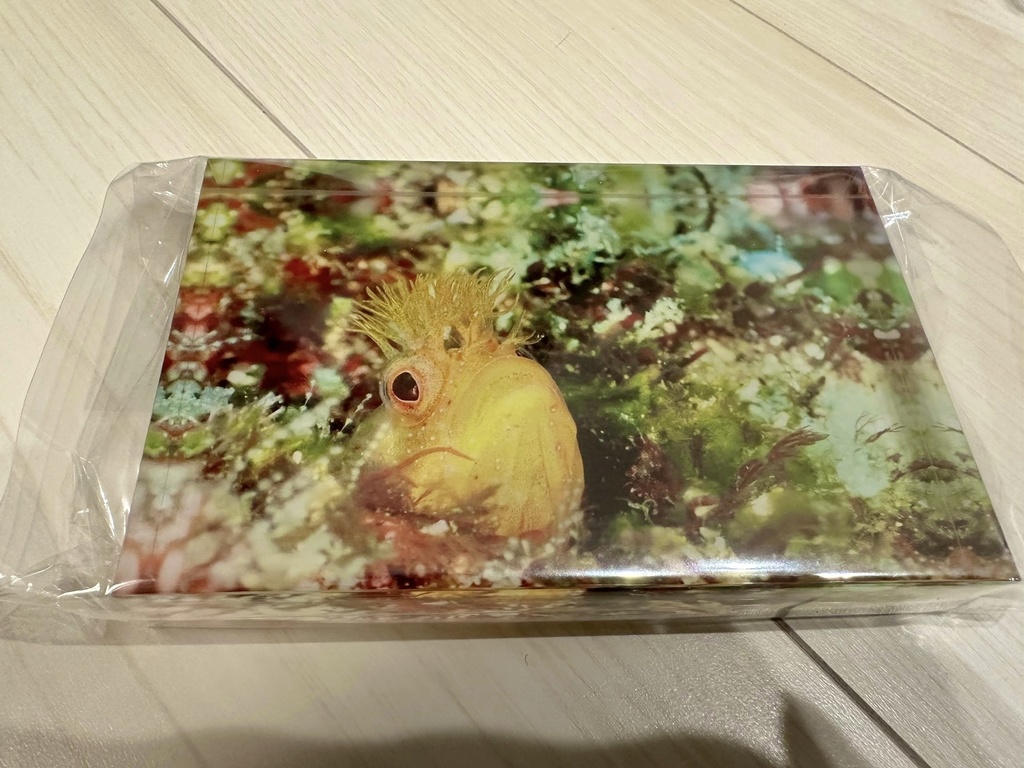 アクリルフォトブロック(コケギンポ)