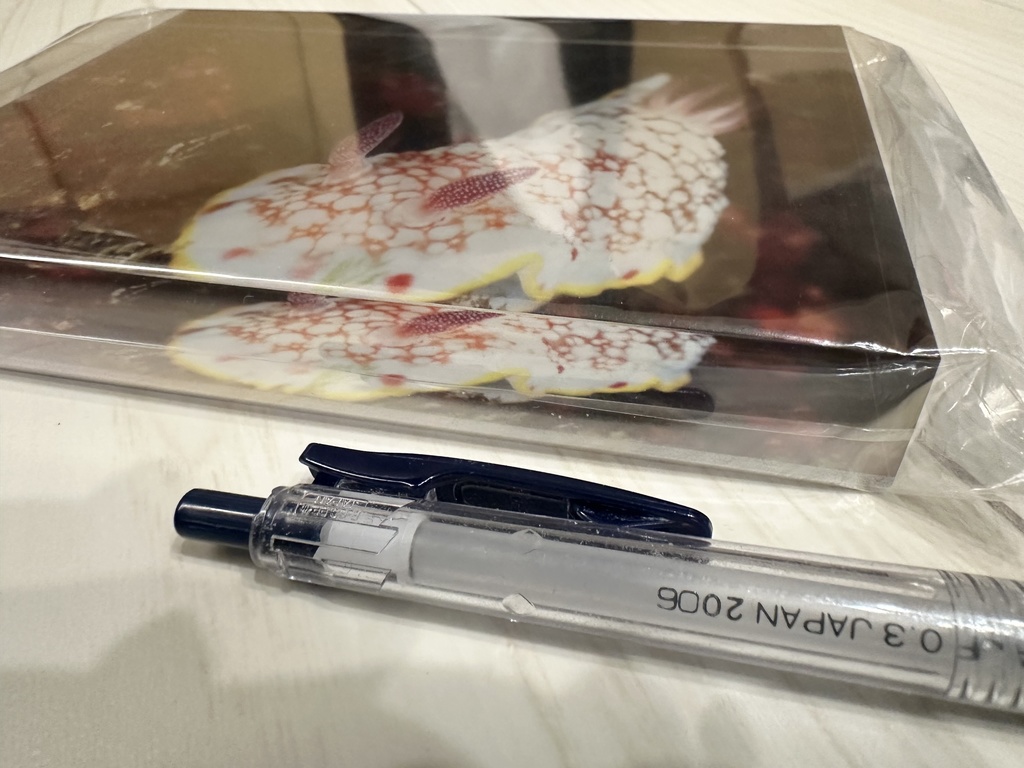 アクリルフォトブロック(サラサウミウシ)