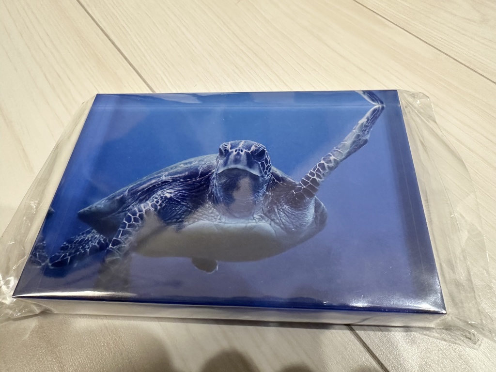 アクリルフォトブロック(アオウミガメ)