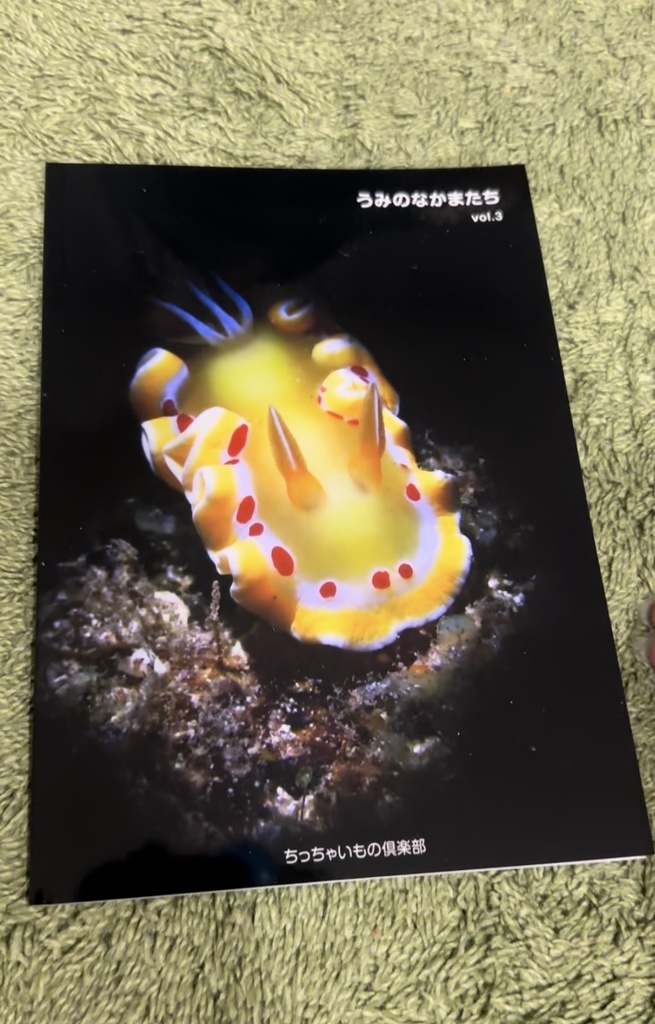 ウミウシフルカラー写真集2(p40マット表紙)