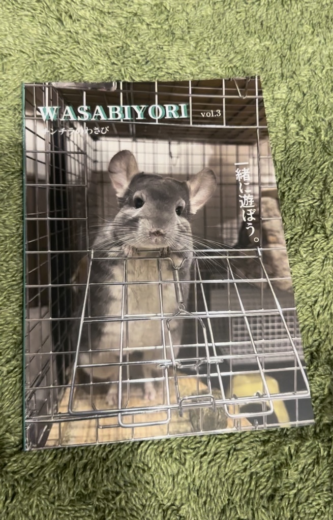 チンチラのわさびくん写真集3(一緒に遊ぼう編)