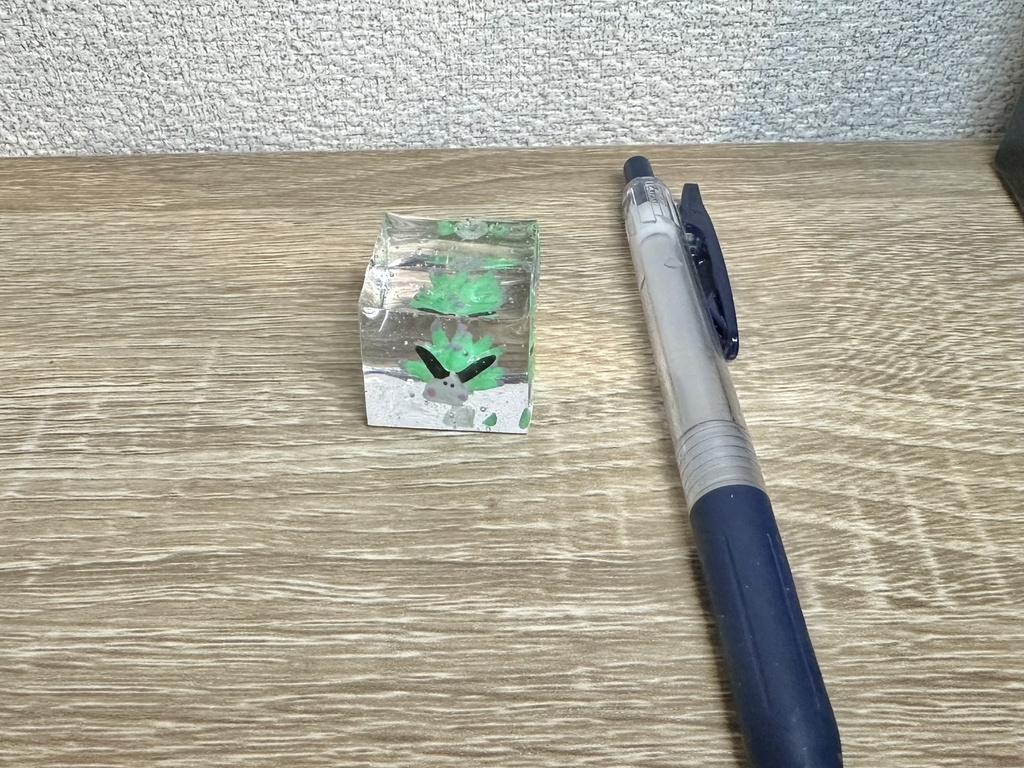 ホホベニモウミウシ水槽 No.1