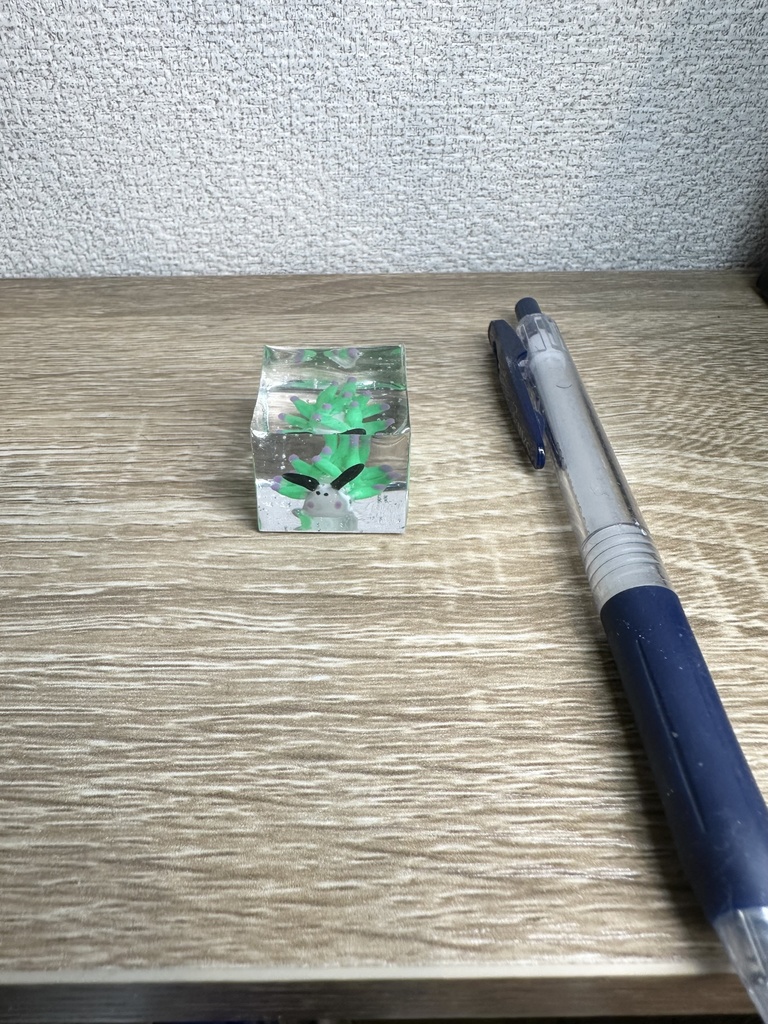 ホホベニモウミウシ水槽 No.2