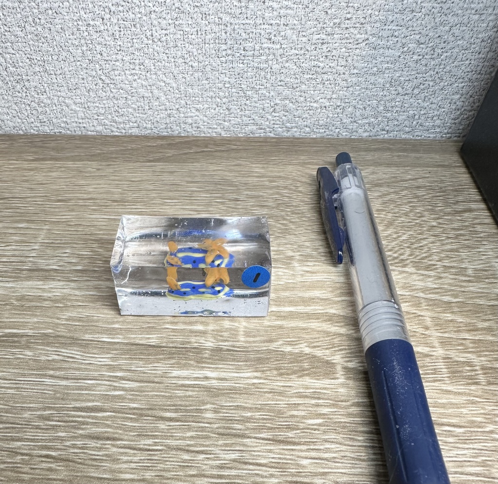 アオウミウシ水槽 No.1