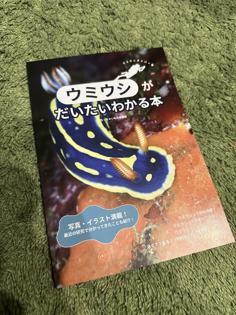 ウミウシがだいたいわかる本
