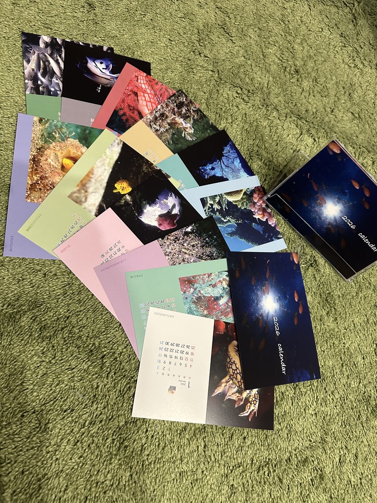 2026カレンダー(海の生物の写真ランダム1枚付き)