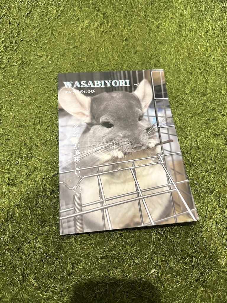 チンチラのわさびくん写真集4(シンプルが美味しい編)