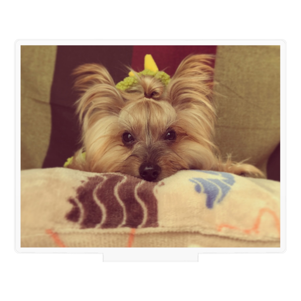 うちの犬のアクリルフィギュア