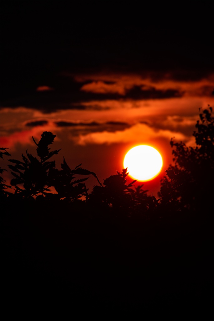 2019/07/19   18:57:39