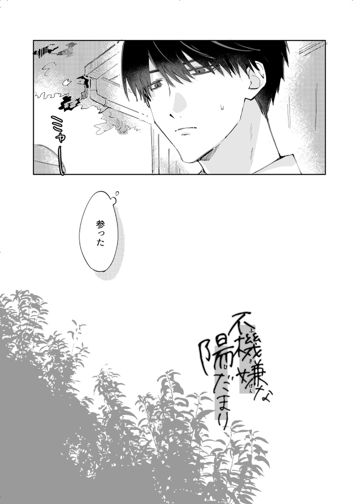 不機嫌な陽だまり