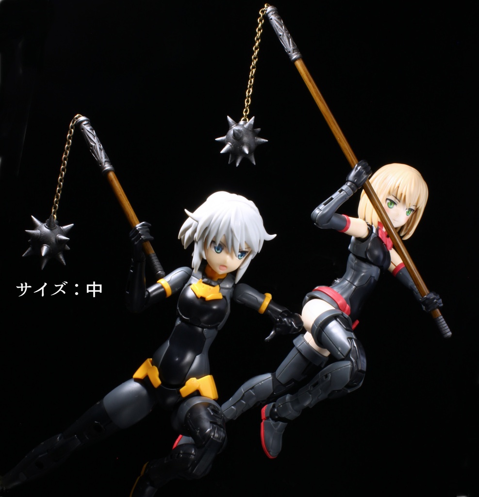 1/10~1/12 モーニングスター